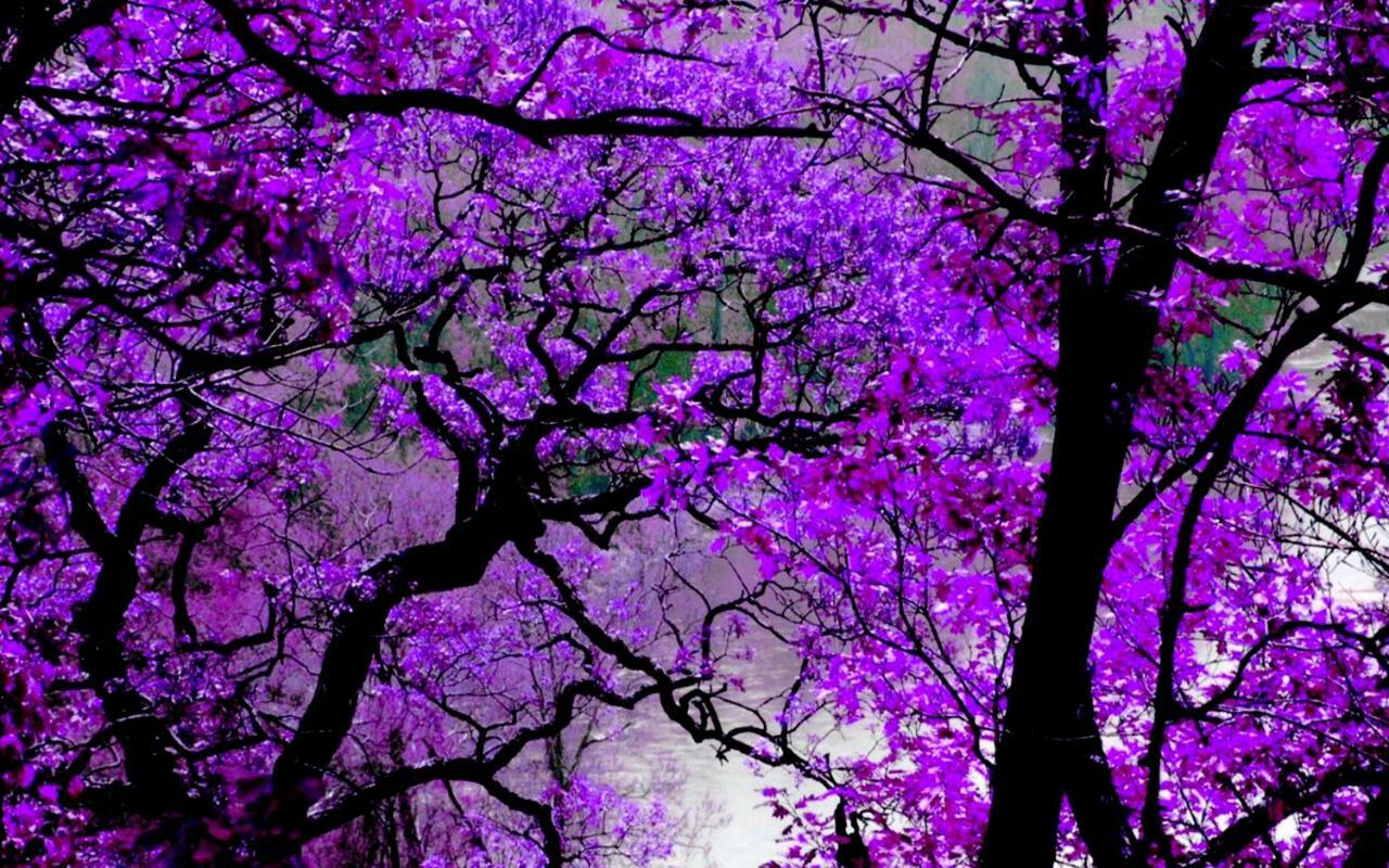 Violet #Colony_White_Tower Lägenhet Thessaloníki Exteriör bild
